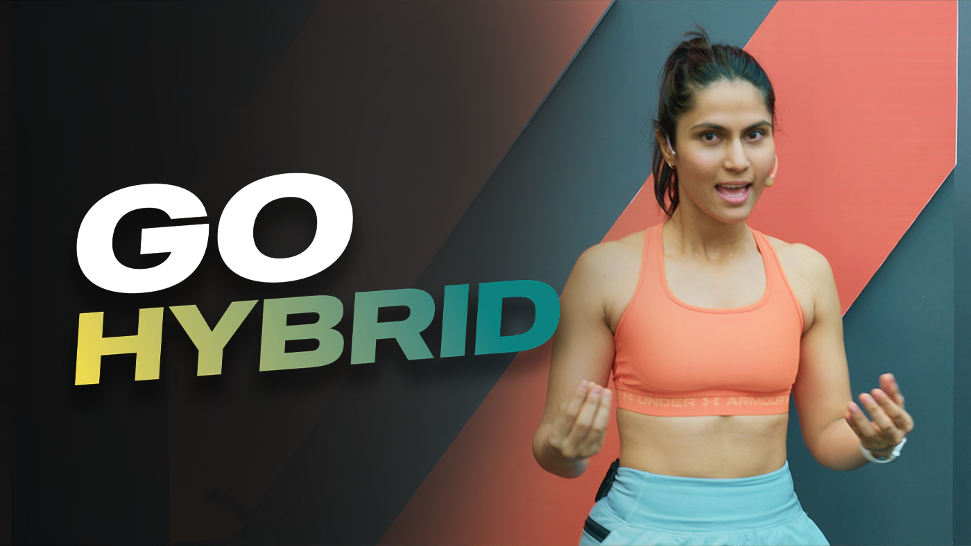 go-hybrid